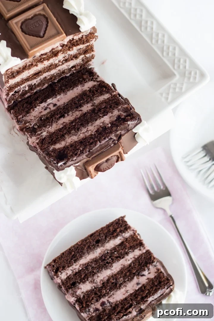 Layers of moist dark chocolate cake, with a silky dark cherry buttercream- so pretty for Valentine's Day!  