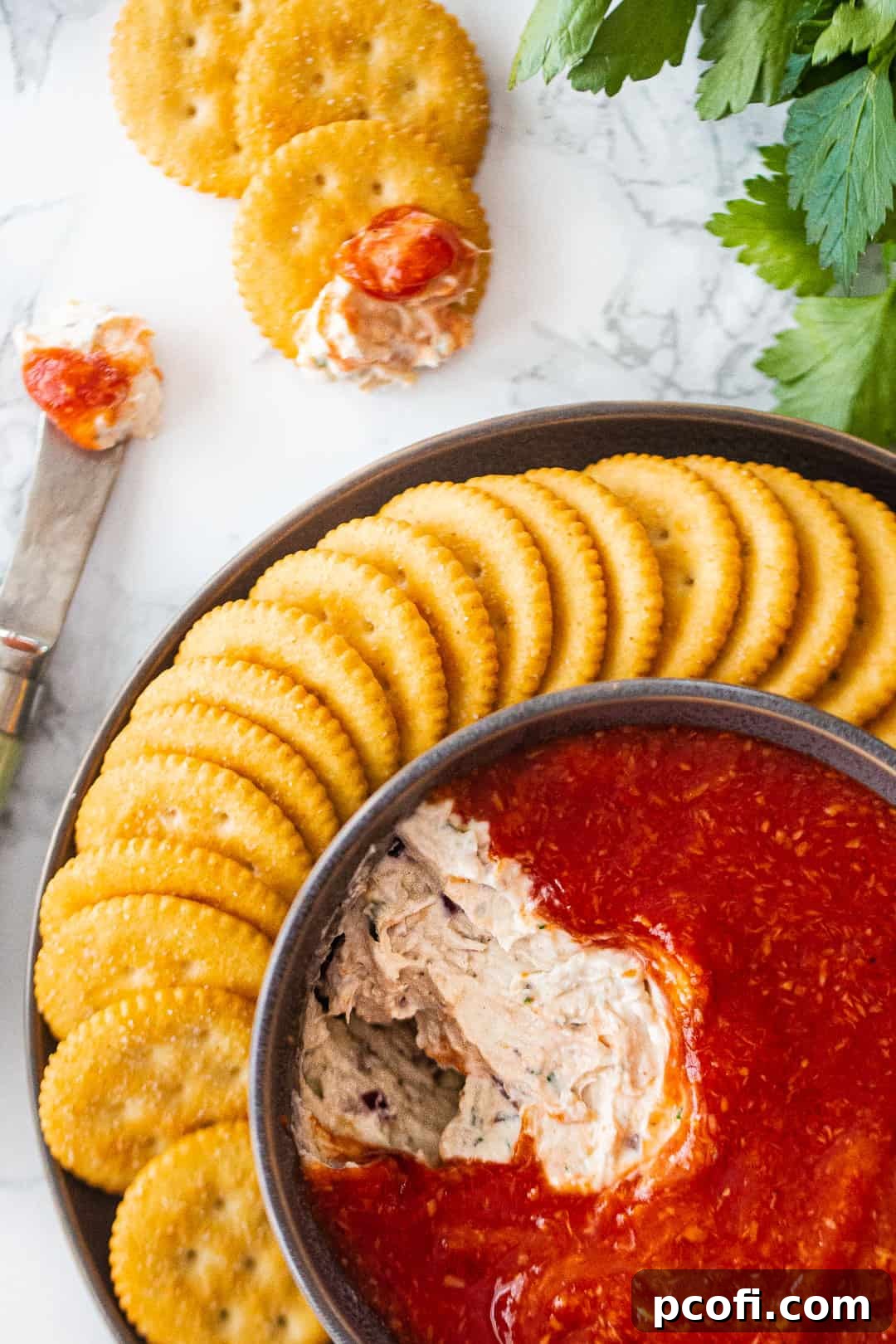 Overhead image of a bowl of crab dip surrounded by buttery crackers.