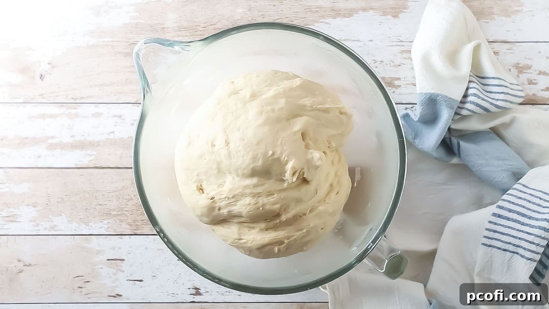 Perfectly risen white bread dough, visibly doubled in volume, covered with plastic wrap in a mixing bowl after its first proof.