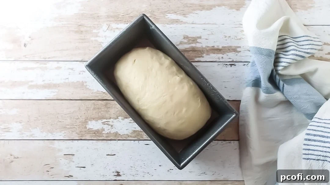 Unbaked white bread dough, perfectly shaped and resting in a loaf pan, covered with greased plastic wrap for its second rise.