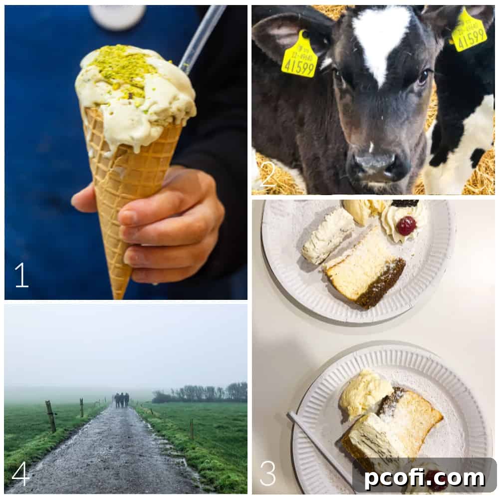 Photo collage featuring images of Irish dairy products and vibrant green farms.