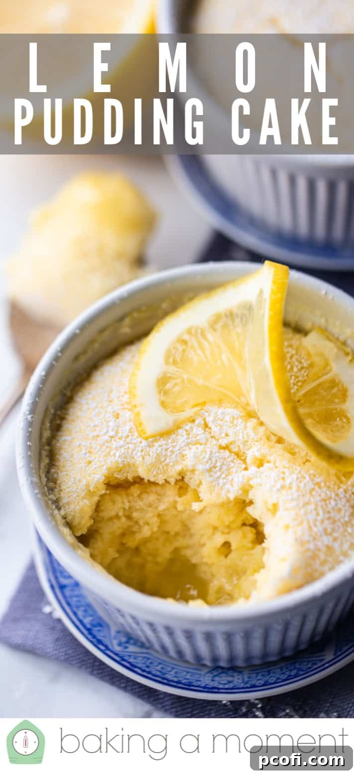 Self-saucing lemon pudding cake, highlighting its unique layered texture.