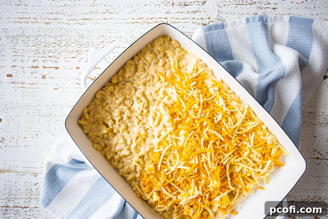 Layering saucy macaroni and a generous sprinkle of shredded cheese in a 9x13-inch baking dish.