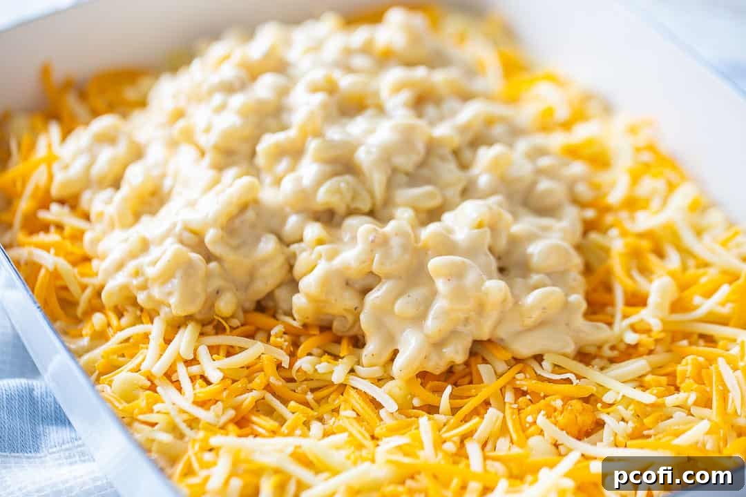 The second layer of macaroni and cheese spread over the first cheese layer in a casserole dish, topped with more shredded cheese.