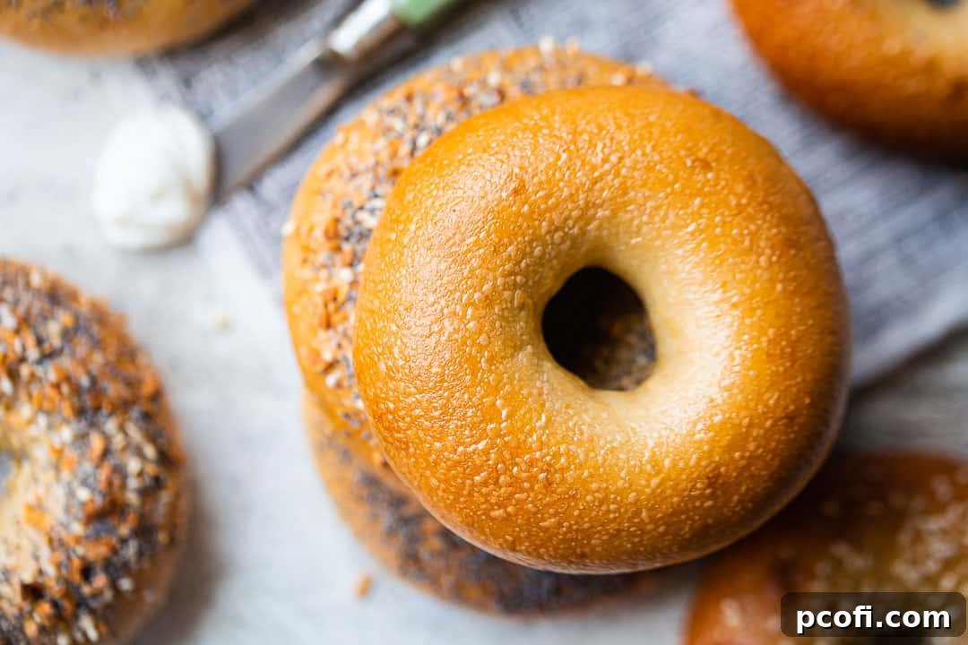 Overhead image of freshly baked bagels, golden brown and lustrous, served with softened cream cheese and various toppings.