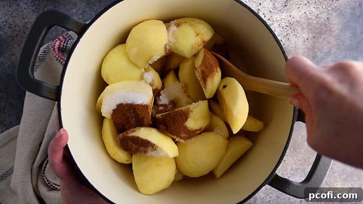 Peeled and quartered apples, water, sugar, and cinnamon gathered in a large pot, ready for making applesauce.
