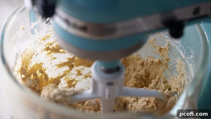 Oatmeal cranberry cookie dough, with dry ingredients just barely combined, mixing in a stand mixer.