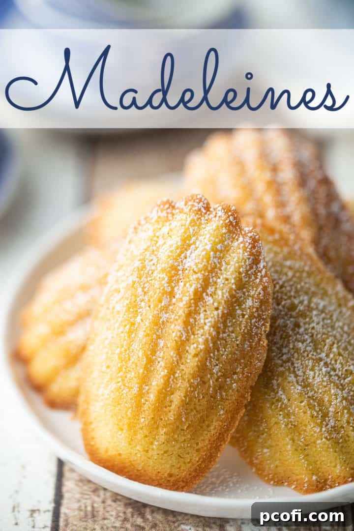 Madeleine cookie recipe, beautifully crafted in the traditional seashell shape, with a text overlay above that reads "Madeleines."
