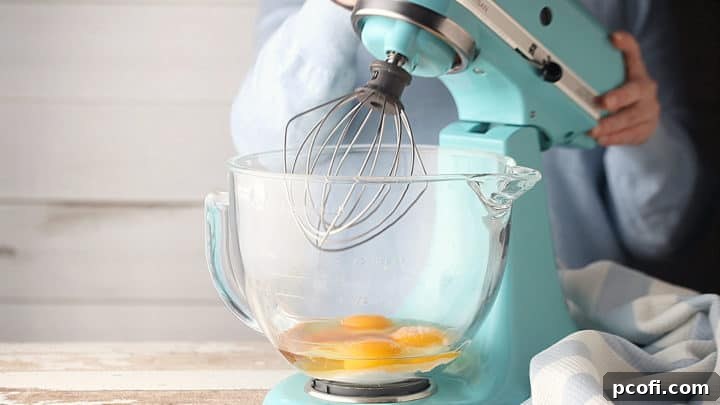 Sugar, eggs, vanilla, and salt in the bowl of a stand mixer fitted with the whisk attachment, ready for whipping.