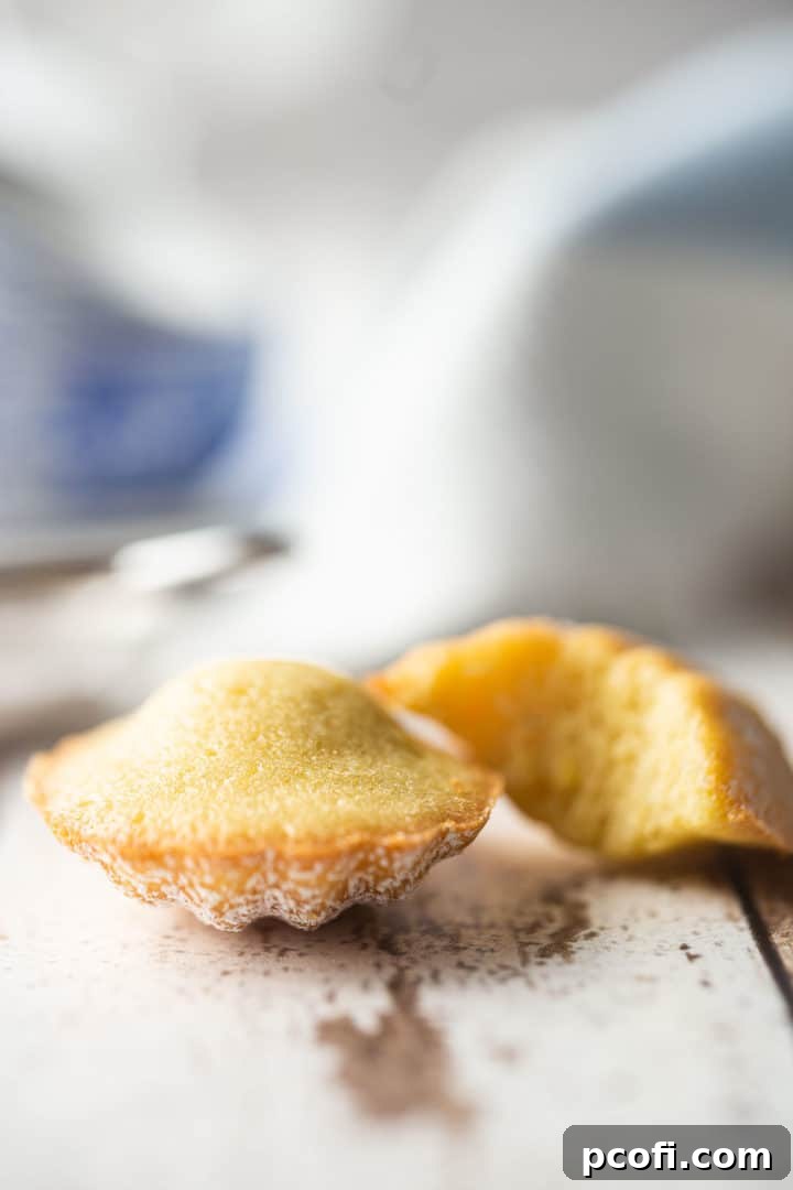 Madeline cookies turned over to proudly display the signature hump on the bottom, a sign of successful baking.