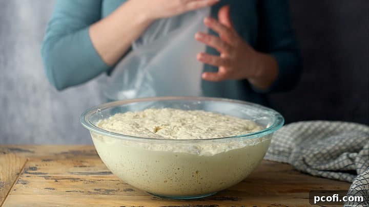 Dough after 12 to 14 hour fermentation.