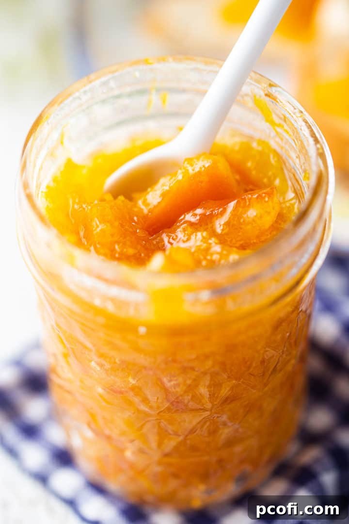 Close-up image of a jar of homemade orange marmalade, resting on a blue checked cloth, showcasing its rich texture and color.