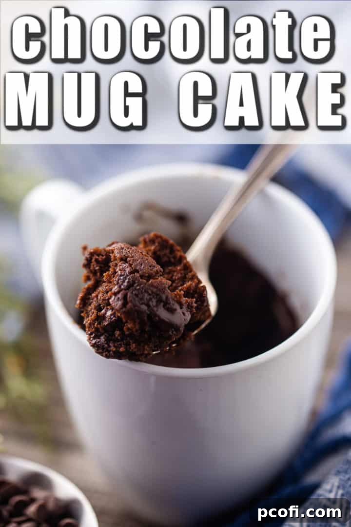 Chocolate mug cake recipe, prepared and baked in a white ceramic coffee cup, with a text overlay above that reads "Chocolate Mug Cake."