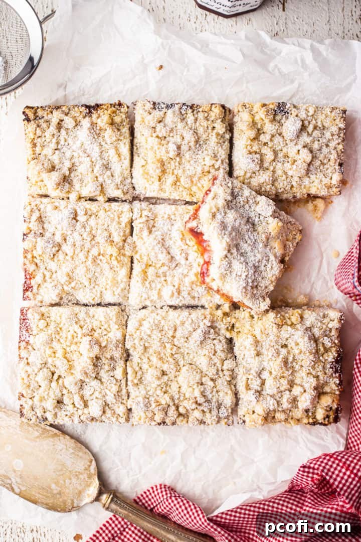 Overhead shot of freshly baked strawberry jam bars, beautifully cut into squares, with a sifter of powdered sugar for garnish.