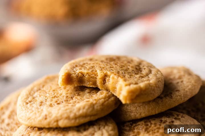 Extreme close-up of brown sugar sugar cookies with a bite taken out.