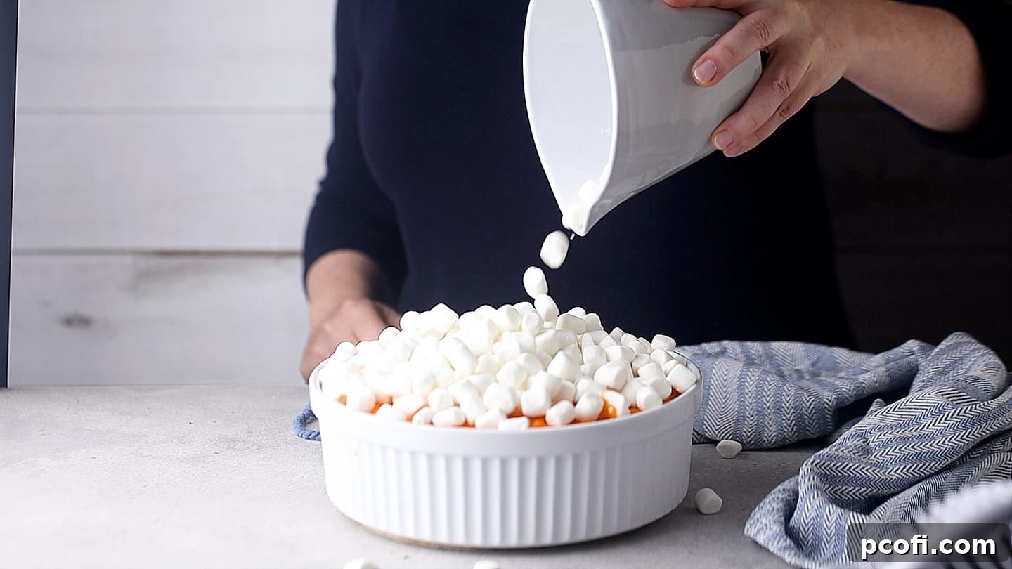 Topping sweet potato casserole with a generous layer of mini marshmallows before baking.