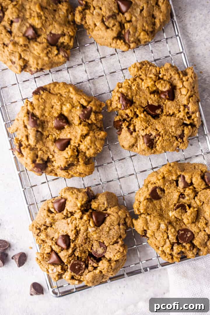 Protein cookie with peanut butter, oats, and chocolate.