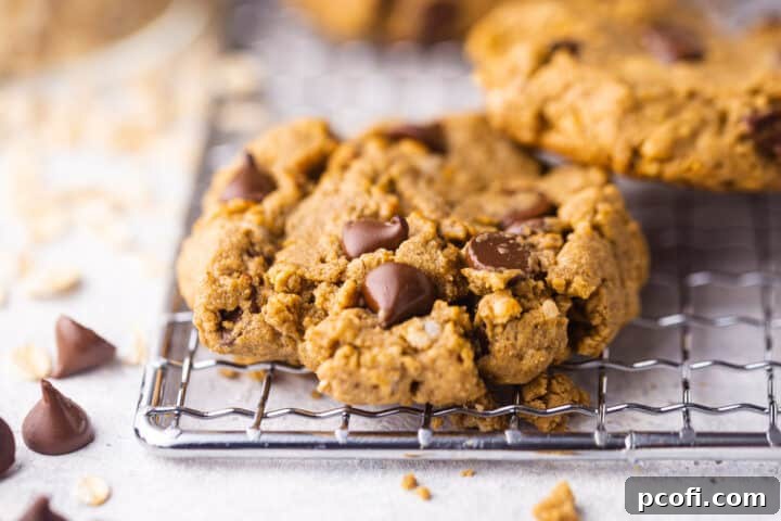 Easy protien cookies cooling on a wire rack.