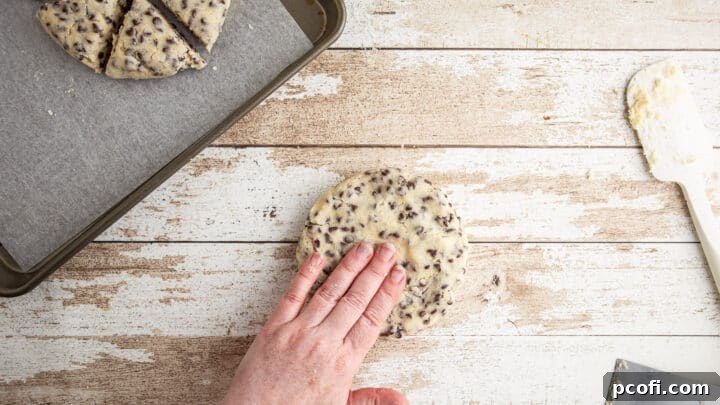 Pressing one half of the chocolate chip scone dough into a thick disc shape.