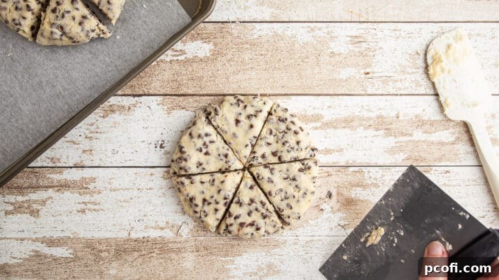 Cutting a disc of chocolate chip scone dough into six triangles using a bench knife.