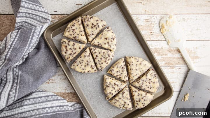 Unbaked chocolate chip scones arranged on a parchment-lined baking sheet, ready for the oven.