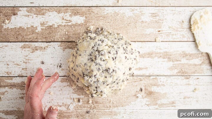 Chocolate chip scone dough gently pressed into a large, cohesive clump on a surface.