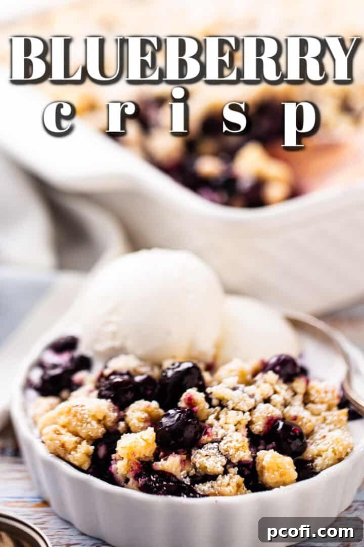 Baked blueberry crisp, served in an individual shallow dish and elegantly topped with a scoop of creamy vanilla ice cream.