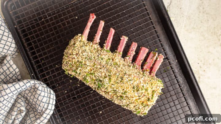 A pristine herb encrusted rack of lamb, perfectly positioned on a wire rack, ready for roasting.