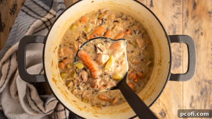 Ladling creamy chicken and wild rice soup from the pot.
