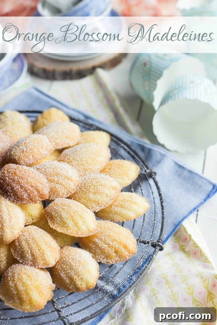 Close-up of golden brown orange blossom madeleines, emphasizing their delicate texture and the signature 'hump' on the back.