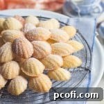 A single perfectly baked Orange Blossom Madeleine on a plain background, highlighting its golden color and texture.