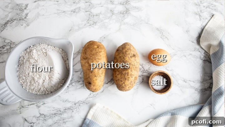 Four essential ingredients for making gnocchi laid out on a surface: russet potatoes, all-purpose flour, a fresh egg, and kosher salt. Each labeled to highlight its role in this simple recipe.