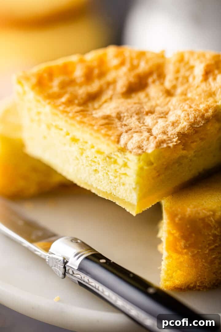 Extreme close-up of a perfectly baked Genoise cake slice, showcasing its delicate, spongy, and airy crumb structure.