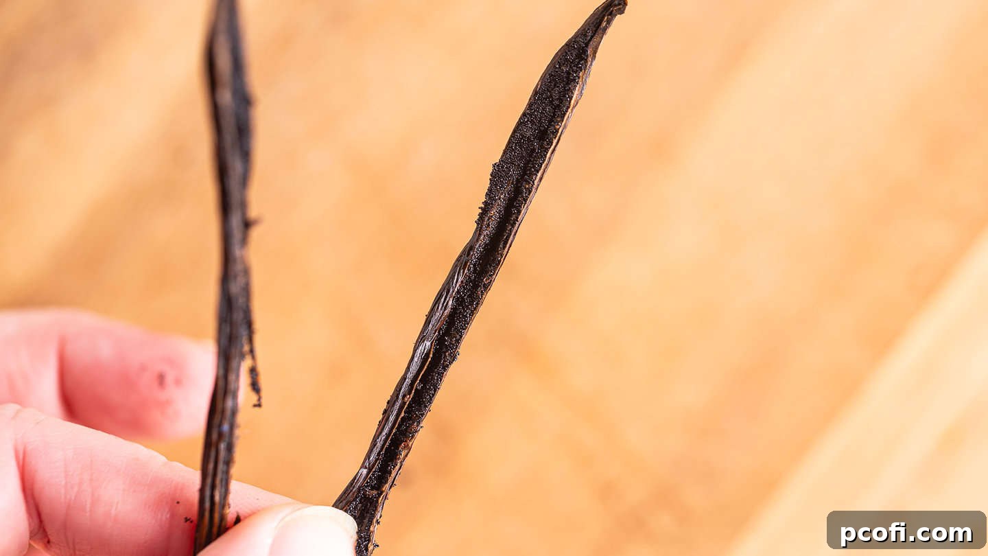 A close-up view of a split vanilla bean revealing the abundant tiny black seeds, which are responsible for the majority of the vanilla's flavor.