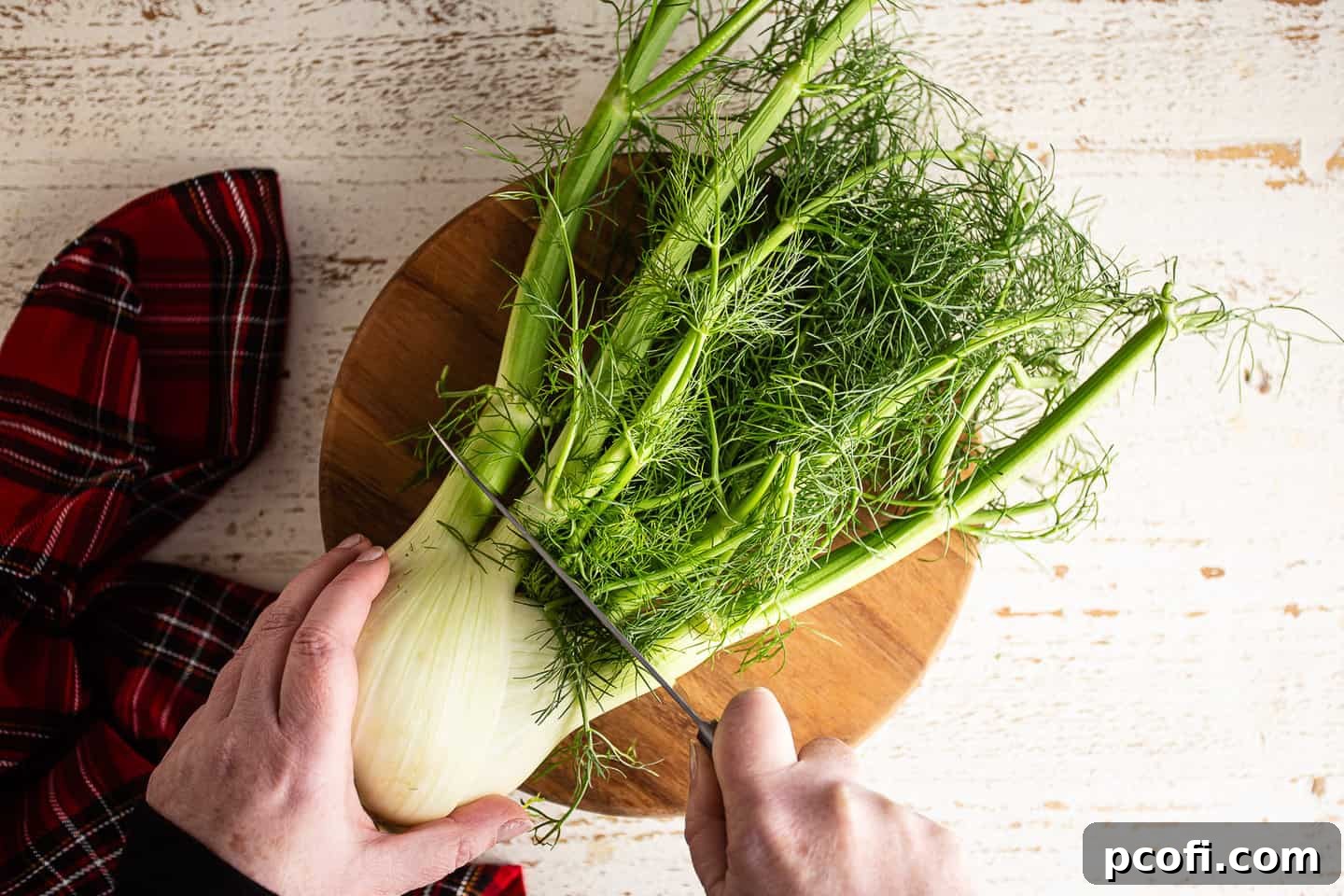 Cutting off the top of the fennel bulb.