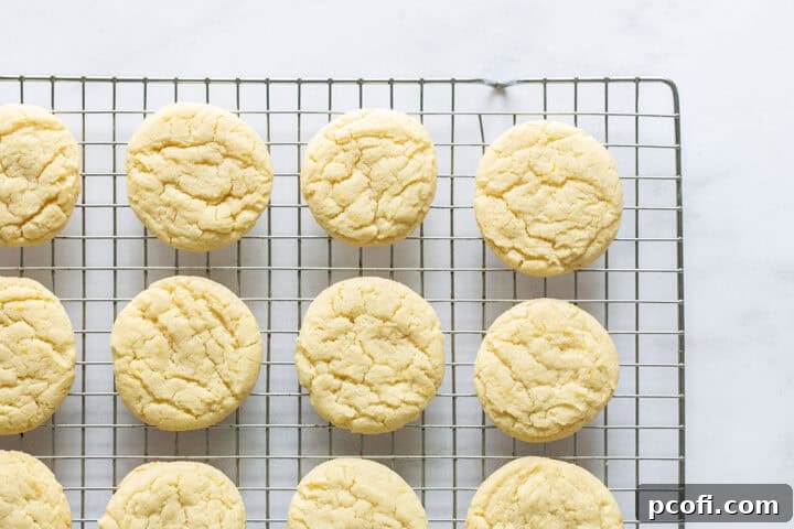 Unfrosted lemon cookies on a wire cooling rack