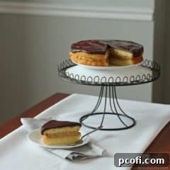 Peanut Butter Boston Cream Pie, top view for recipe card