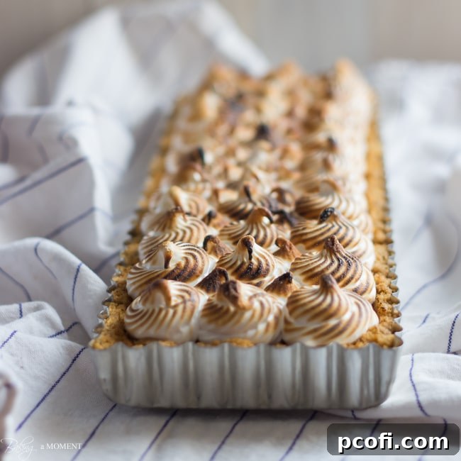 Nutella S'mores Tart | Baking a Moment