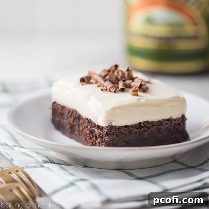 Nutty Irishman Frosted Brownies: The incredible combination of Bailey's, hazelnut, and fudgy chocolate brownie is truly insane!