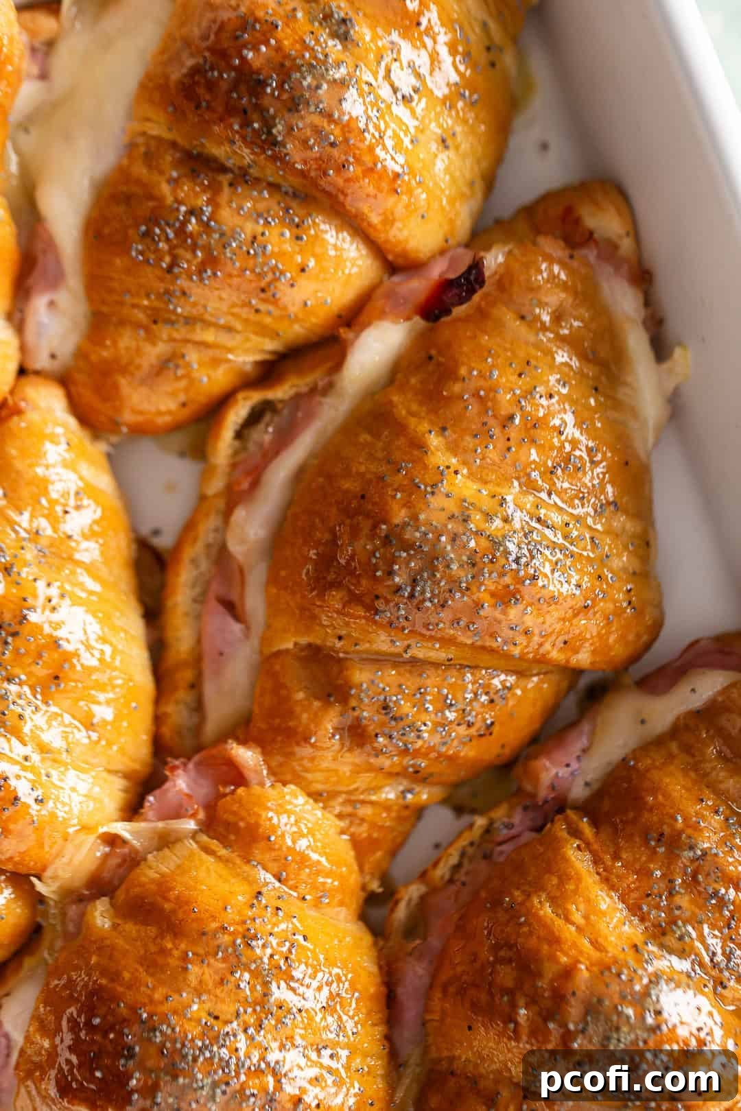Golden brown ham and cheese croissants arranged in a baking dish, glistening with a sweet-savory glaze and ready to be served.
