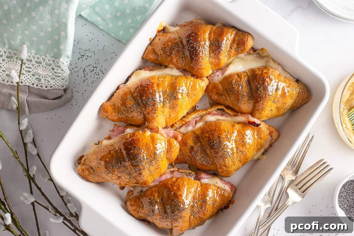 Finished ham and cheese croissants, golden and melted, after being baked and glazed, ready to be enjoyed.