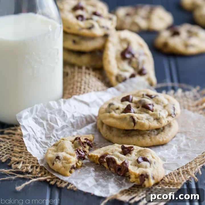 Soft Chocolate Chip Cookies: so buttery and delicious, they practically melt in your mouth!