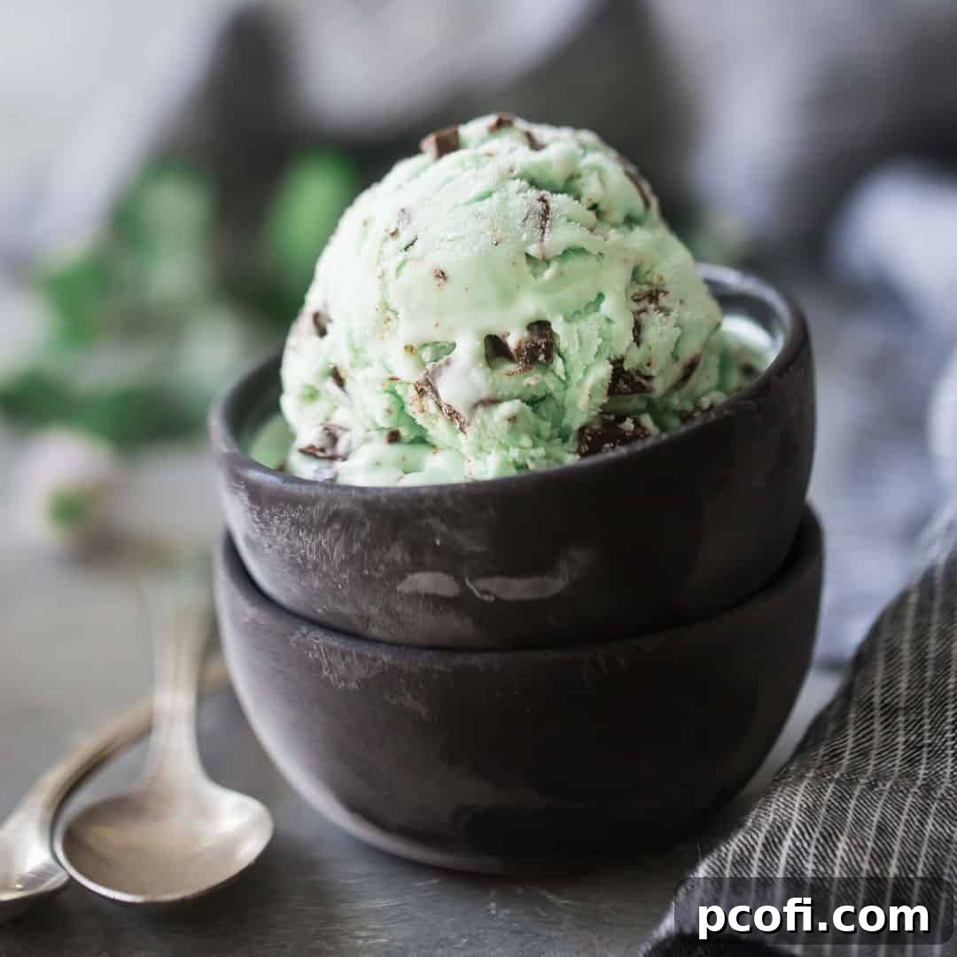 Homemade mint chocolate chip ice cream in a dark brown bowl on a gray background.