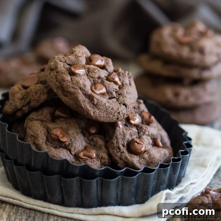 Double Chocolate Chip Cookies - soft, gooey, and intensely chocolatey, guaranteed to satisfy any craving.