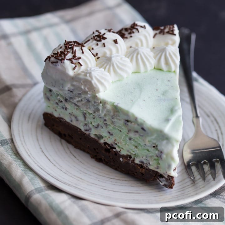 Mint Chocolate Chip Brownie Ice Cream Cake: a generous layer of homemade no-churn mint chocolate chip ice cream over a chewy brownie crust.