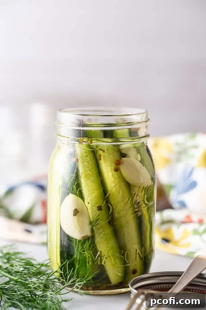 Homemade Dill Pickles: Crispy Refrigerator and Canning Recipes 2 Homemade dill pickles in a canning jar.