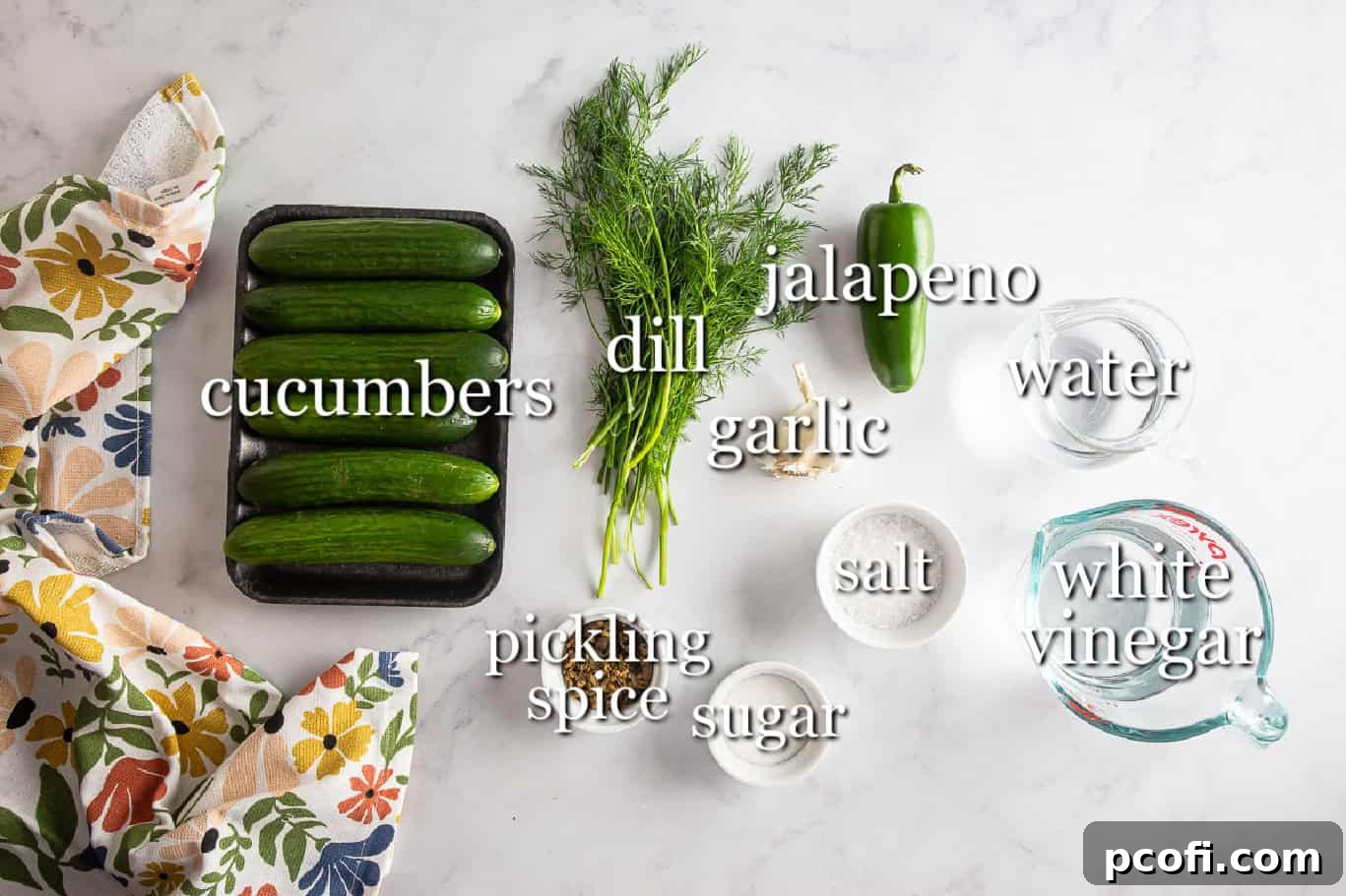 Homemade Dill Pickles: Crispy Refrigerator and Canning Recipes 3 Ingredients for dill pickles in separate containers on a white background.